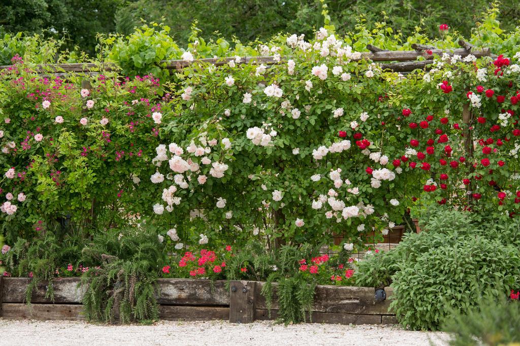 Ca'Bevilacqua Bed&Breakfast Bertinoro Exterior photo